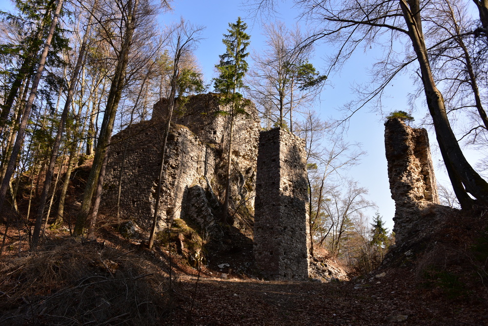 Rochusberg (880) und Ruine Altrechberg