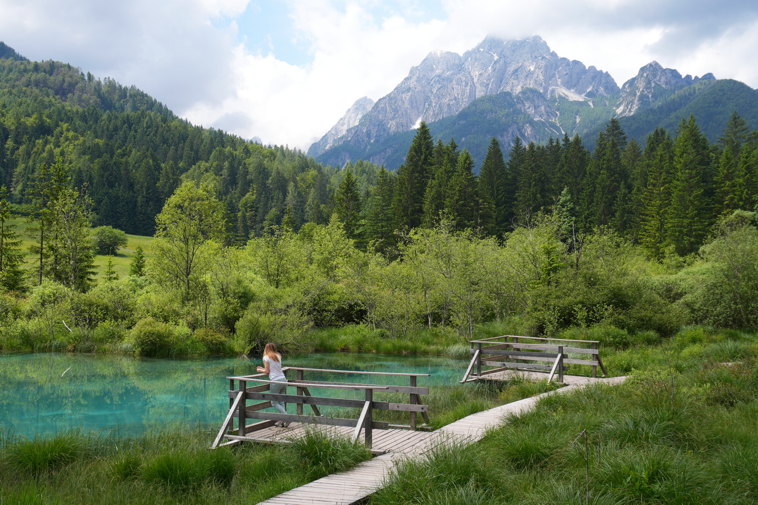 Zelenci